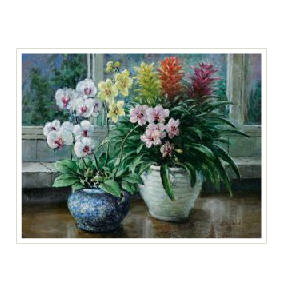STILL LIFE