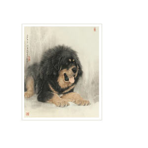 TIBETAN MASTIFF