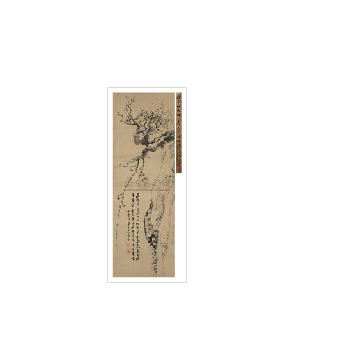 PLUM BLOSSOMS