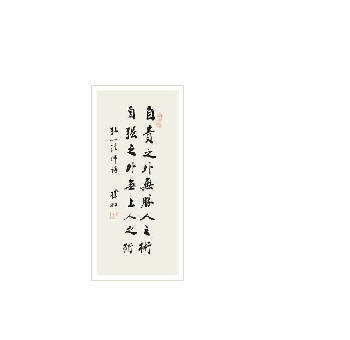 CALLIGRAPHY IN XINGSHU