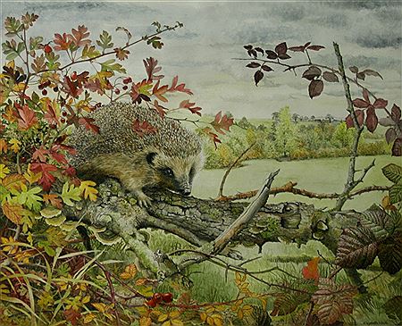 A HEDGEHOG IN AUTUMN