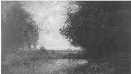 Extensive landscape