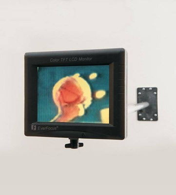 Sample artwork by Paul Pfeiffer (Born 1966), known for abstraction-human body, digital, multimedia art, printmaking - View similar artists and auction records