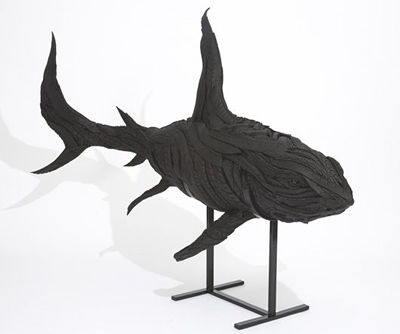 Shark, 2007