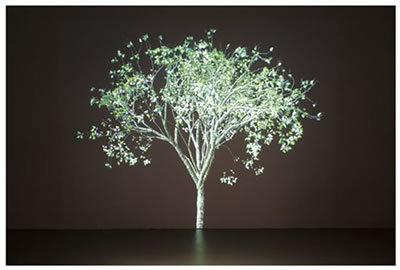 Dervish 4, 2004 by Jennifer Steinkamp - Auction record, sale price, and art valuation. Compare with similar artists and explore comparable artworks.