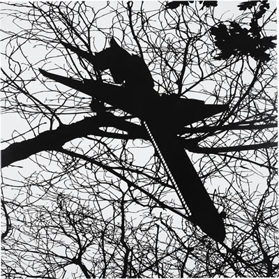 The Nightlife of a Shadow II