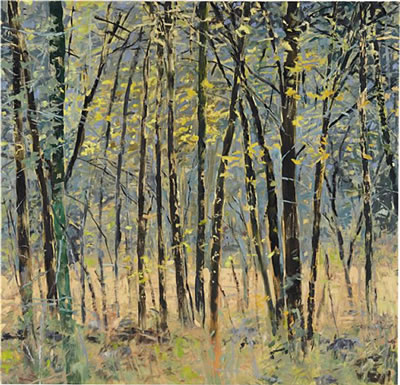 Meadow with Woods