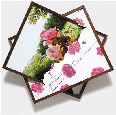 Fall 2009 (Screen Flower print, Flower on walk with Andrea/ Terry/Cindy 1), 2009