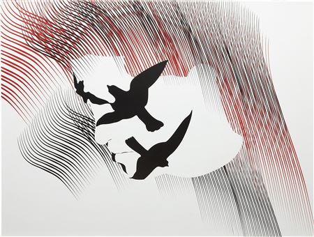 Bird Face, 2007