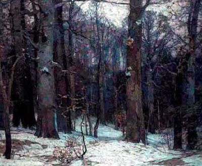 Forest Silence