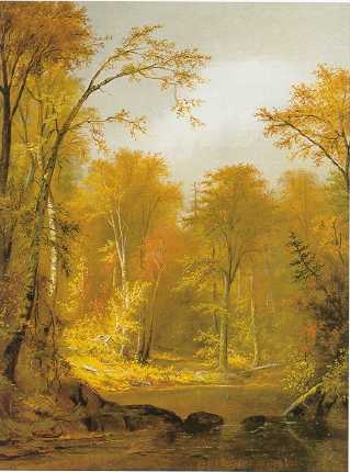 The Moose River