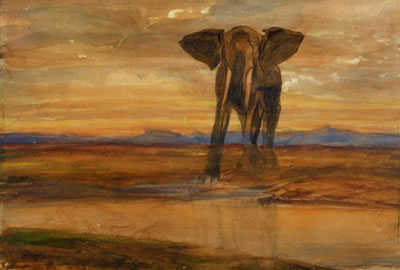 Étude pour " Tigre et éléphant à la source "