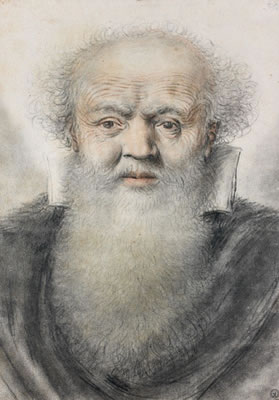 Portrait d'homme barbu de face