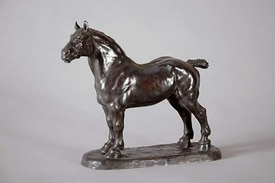 Cheval percheron