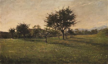SCORCIO DI CAMPAGNA CON ALBERI