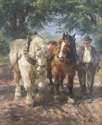 Pferdegespann in der Nachmittagssonne
