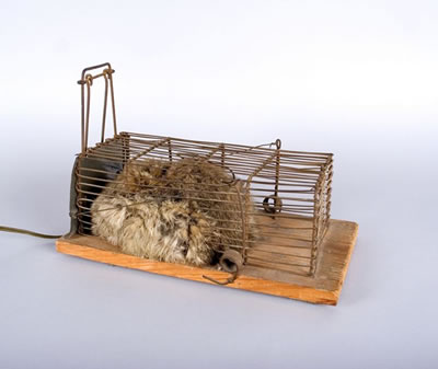 Atemobjekt K 89/73 by Gunter Weseler - Auction record, sale price, and art valuation. Compare with similar artists and explore comparable artworks.