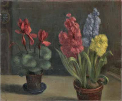 Giacinti con ciclamini