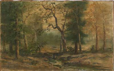Autumn Trees