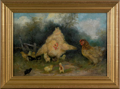 2 hens and 11 chicks