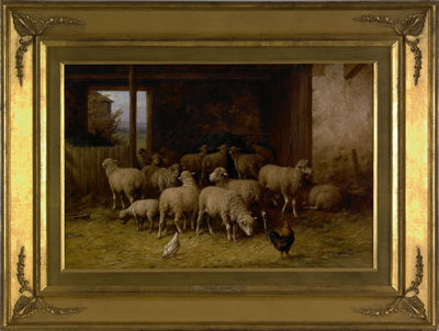 Barn scene with sheep
