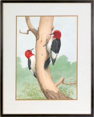 RED HEADED WOODPECKERS