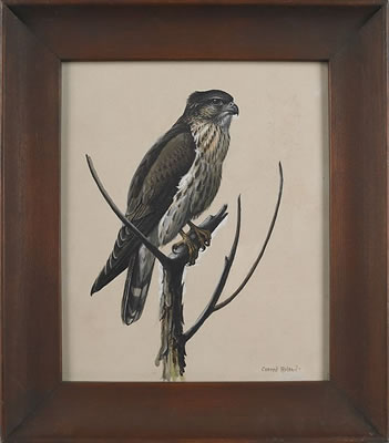 Conrad Roland - artist photo for art wanted listing (Boyertown, PA)