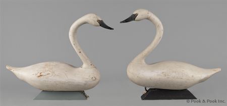 Swans (2)