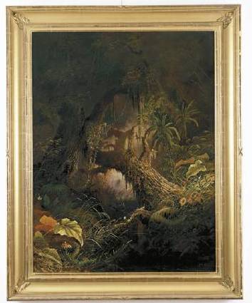 Tropical landscape with central moss