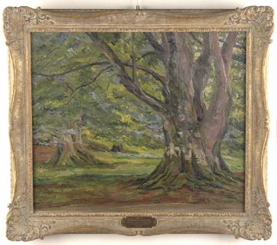 Summer Landscape