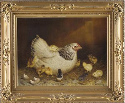 Hen and Her 11 Chicks