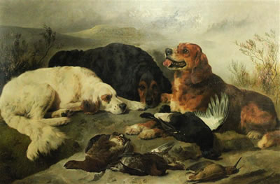 GROUSE AND BLACK GAME SHOOTING