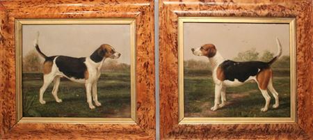 HOUNDS, a pair