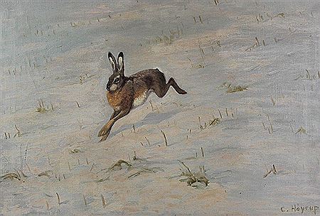 RABBIT