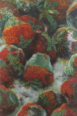 The Decay of Landscape, 2005
