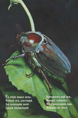 Beetle, 1982