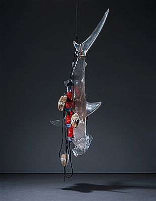 Bismarck Archipelago Shark, 2002