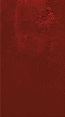 Untitled (Old Nazi) from the Red Series (Militares), 2000