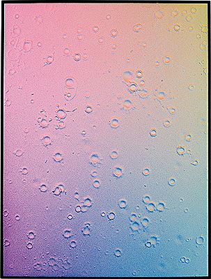 SC/IMG_435, 2013