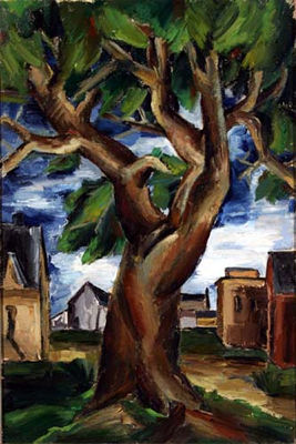 The Elm