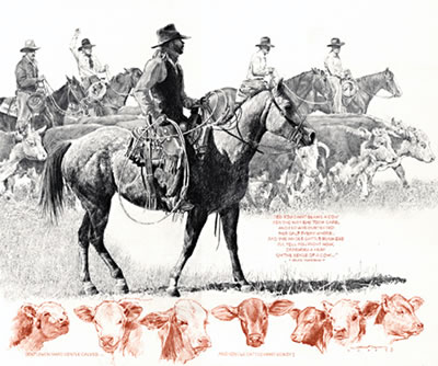 Gentlemen Make Gentle Cattle