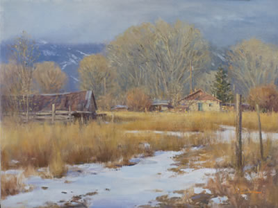Late Afternoon Light