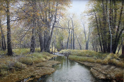 Forest Tranquility