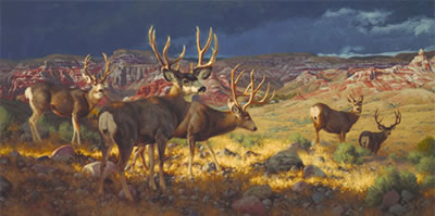 Wyoming Badlands