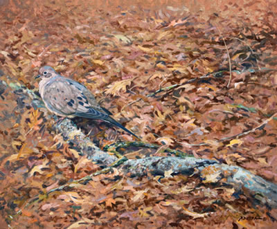 By Nature's Design - Dove