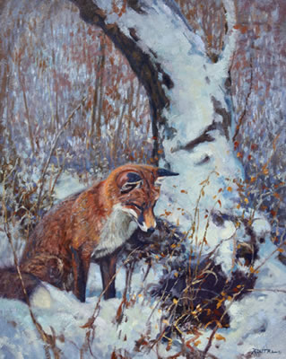 Patience - Red Fox