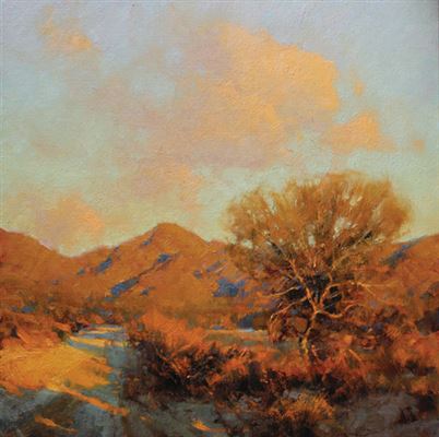 Day's End, Arizona Desert