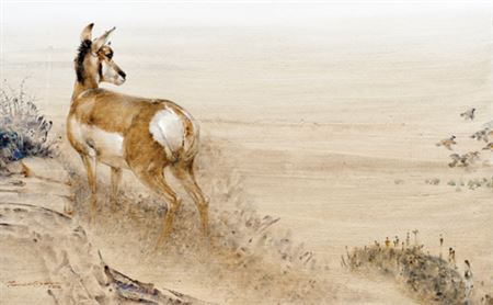 Sample artwork by Thomas Quinn (Born 1938), known for wildlife, birds, dogs, illustrator - View similar artists and auction records
