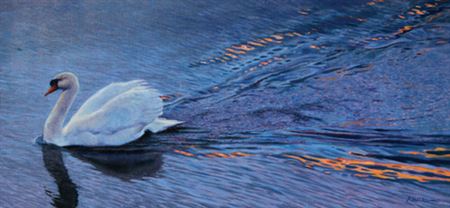 State of Grace - Swan by Randal Dutra - Auction record, sale price, and art valuation. Compare with similar artists and explore comparable artworks.