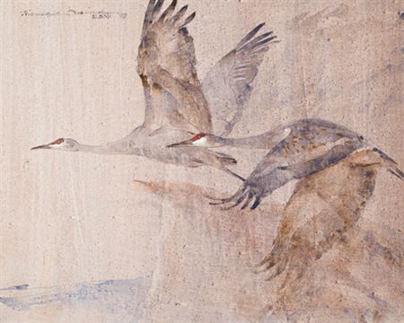 Tracing the Platte (Sandhill Cranes)